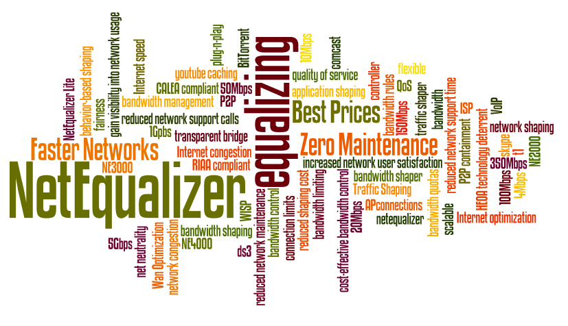 NetEqualizer Wordle