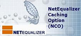 NetEqualizer Caching Option