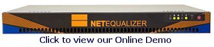 NetEqualizer Online Demo